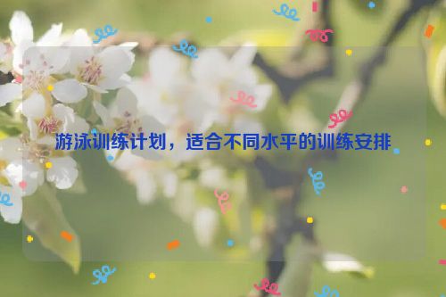 游泳训练计划，适合不同水平的训练安排